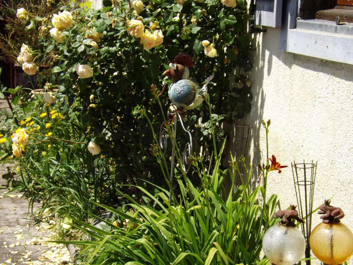 Gite Perisse, Le Petit Gite Apartment Libaros Exterior foto